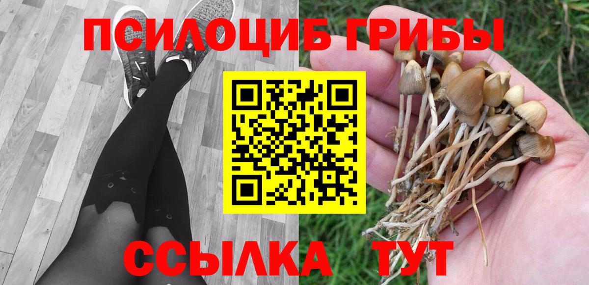 Псилоцибиновые грибы Magic Shrooms Лабытнанги